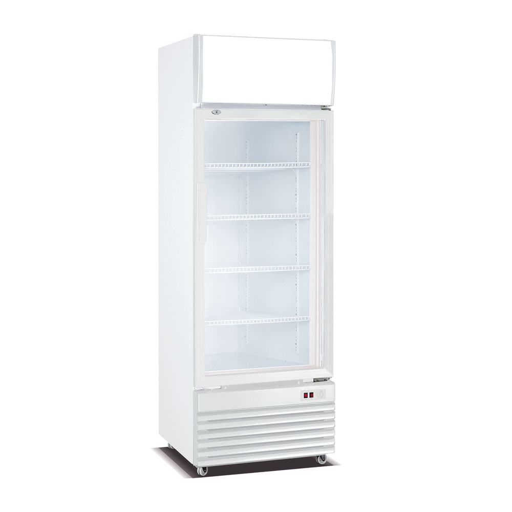 Visi Cooler Refrigerador 208L