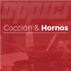 Oppici Recurso 21 4