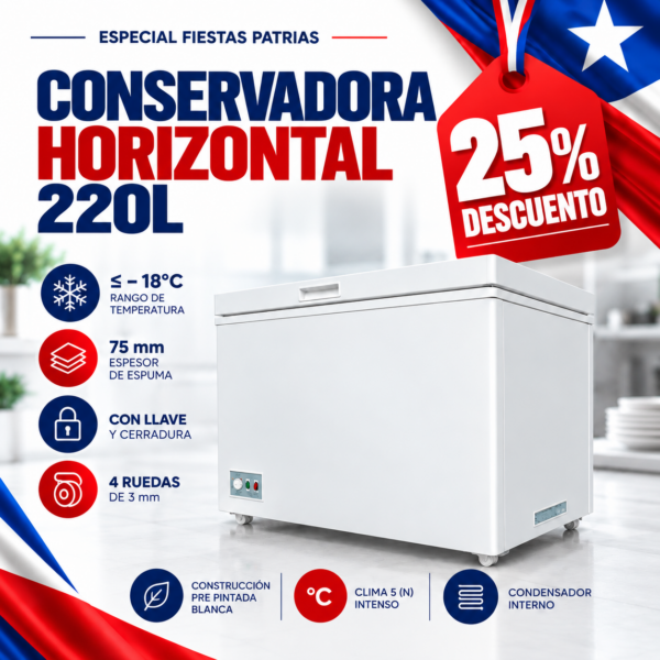 WEB CV220 1080